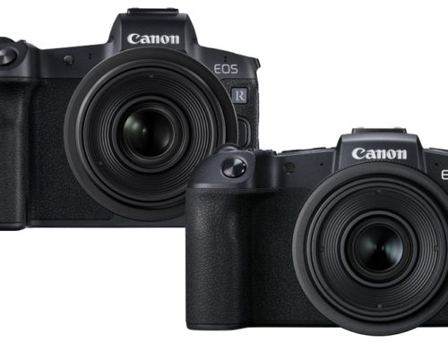 Canon EOS R Vs Canon EOS RP