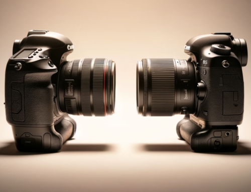 Canon 5D Mark IV vs. Canon R6Mark II Kameravergleich